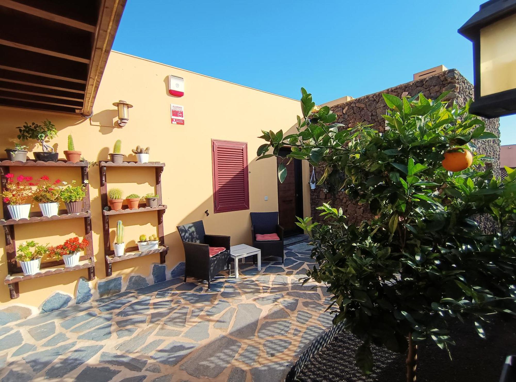 Villa Enola La Oliva Extérieur photo