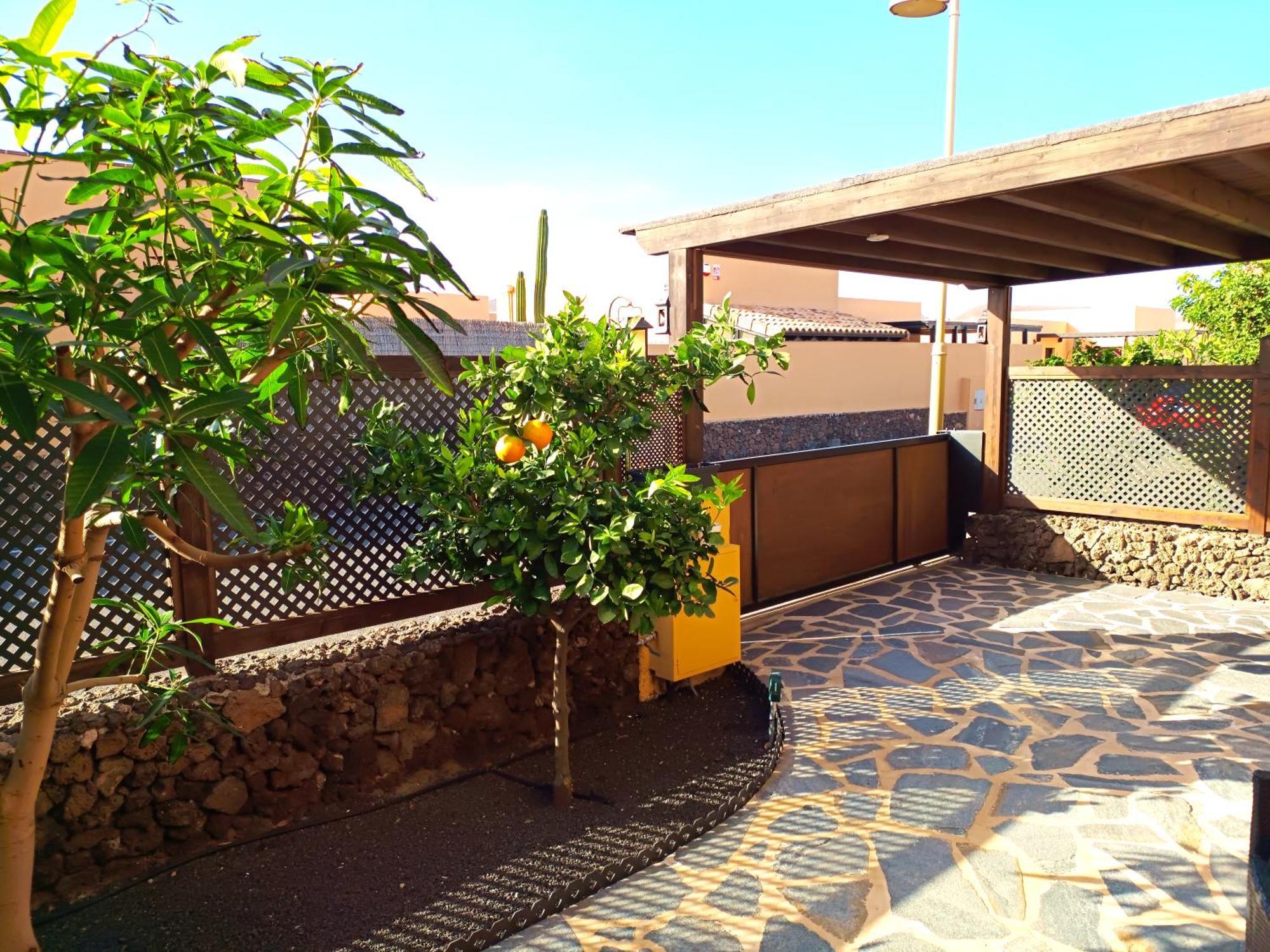 Villa Enola La Oliva Extérieur photo